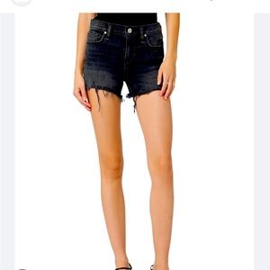 Hudson Gemma shorts new with tags size 26 - color Lady Luck